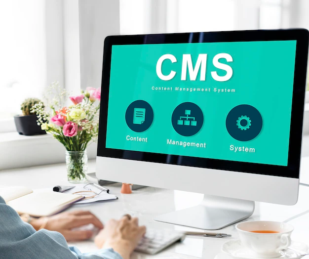 CMS Website Development Company in Chennai