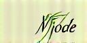 Logo Vert Mode