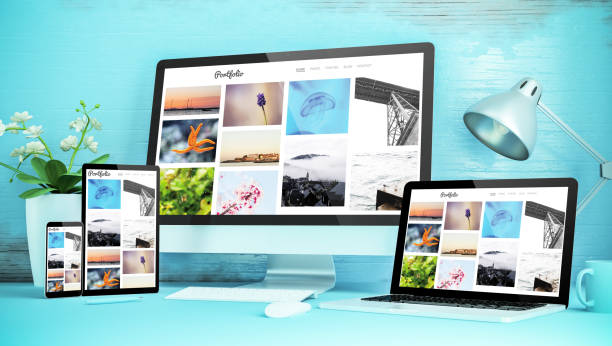 Web Design Company in Delhi